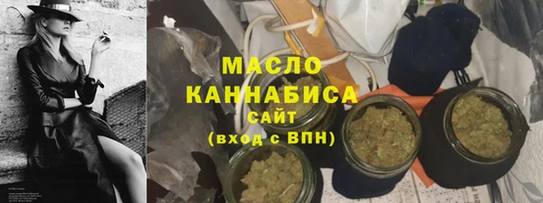 индика Вязники