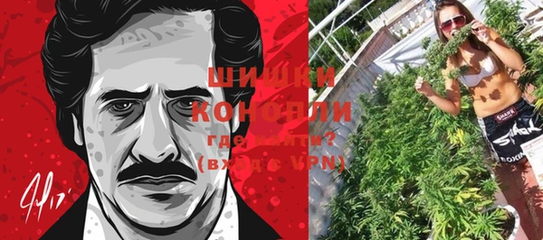 меф Мегион