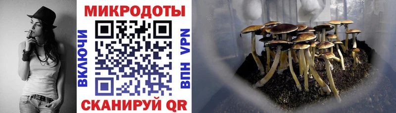 Галлюциногенные грибы прущие грибы  МЕГА ссылки  Поворино 